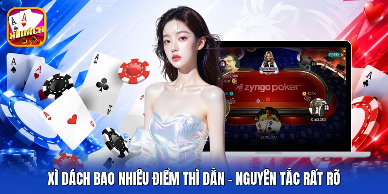 Xì Dách Bao Nhiêu Điểm Thì Dằn - Nguyên Tắc Rất Rõ